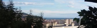 Photo n°2