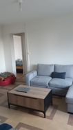Photo n°6