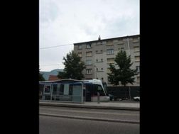 Photo n°4
