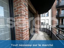 Photo n°7