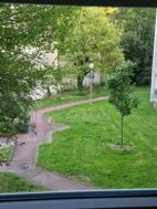 Photo n°6