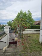 Photo n°2