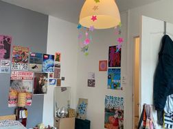 Photo n°4