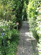 Photo n°6