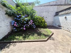 Photo n°6