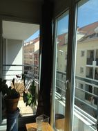 Photo n°6
