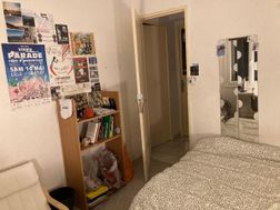 Photo n°6