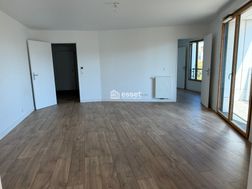 Photo n°2
