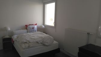 Photo n°4