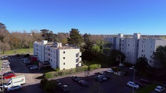 Photo n°8