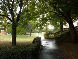 Photo n°3