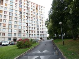 Photo n°6