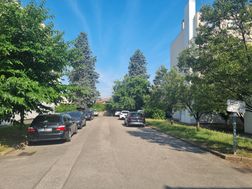 Photo n°4