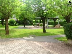 Photo n°4