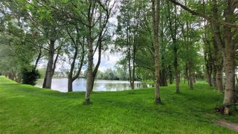 Photo n°6