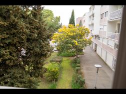 Photo n°16