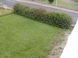 Photo n°3