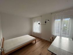 Photo n°7