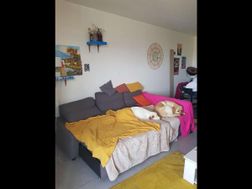 Photo n°3