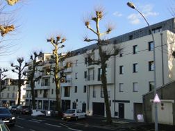 Photo n°6