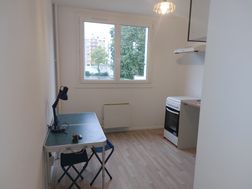 Photo n°4