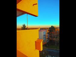 Photo n°32
