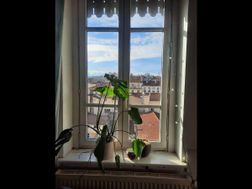 Photo n°4