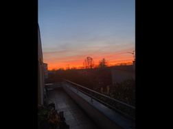 Photo n°1