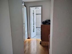 Photo n°5