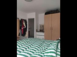 Photo n°6