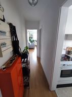 Photo n°4