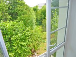 Photo n°3