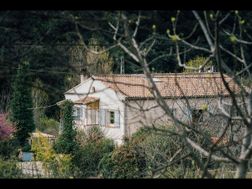 Photo n°1