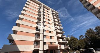 Photo n°1