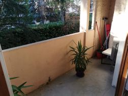 Photo n°2