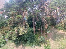 Photo n°3