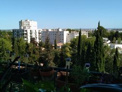 Photo n°1