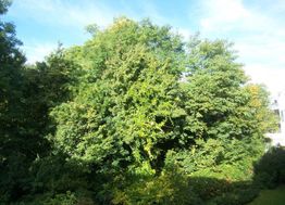 Photo n°6