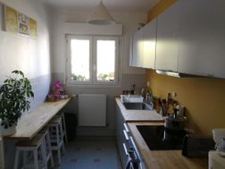 Photo n°4
