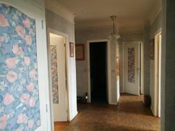 Photo n°6
