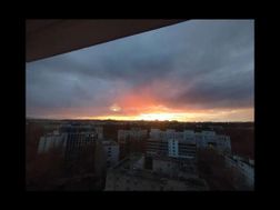 Photo n°7