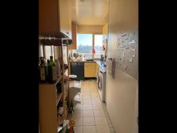 Photo n°4