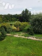 Photo n°6
