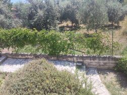 Photo n°4