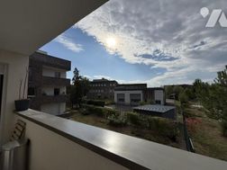 Photo n°1