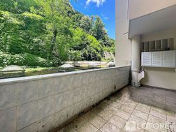 Photo n°7