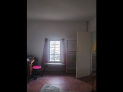 Photo n°4