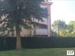 Photo n°6