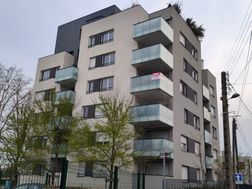 Photo n°5