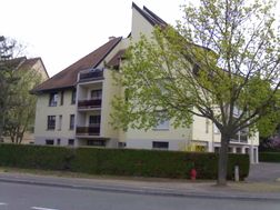 Photo n°1